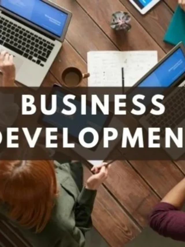 Business Development Services Provide by Rajhans Digital in 2025!